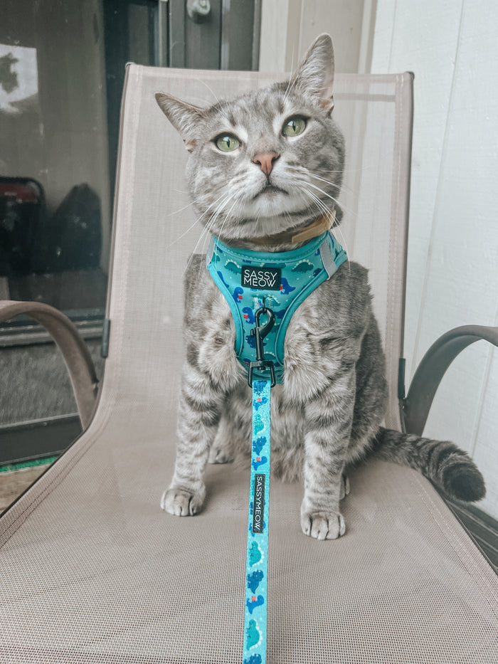 Sassy Meow Cat Leash, Dino Darling