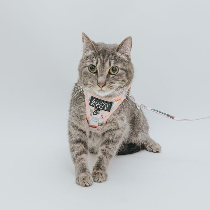 Sassy Meow Cat Leash, Smitten Kittens