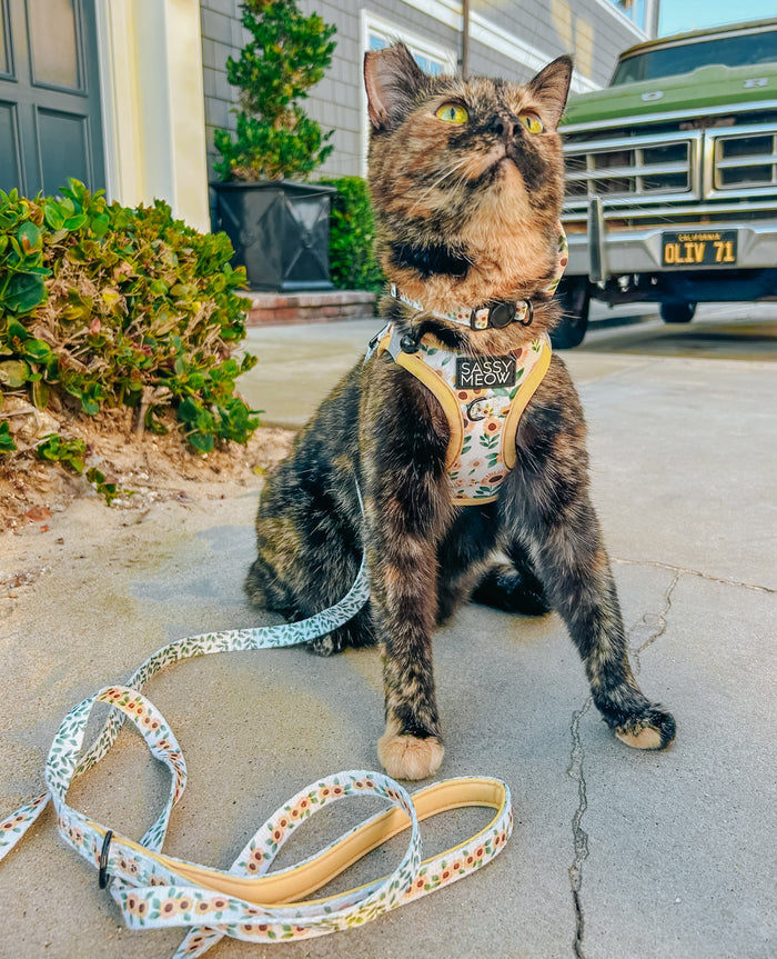 Sassy Meow Cat Leash, Sunflower Dreams