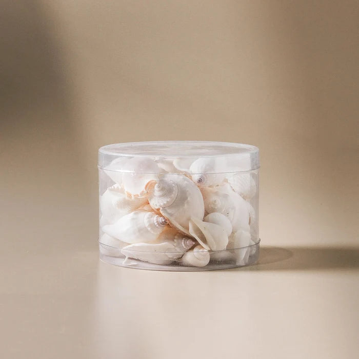 Shell cylinder 1000ml white - Few and Far - Decorative Objects