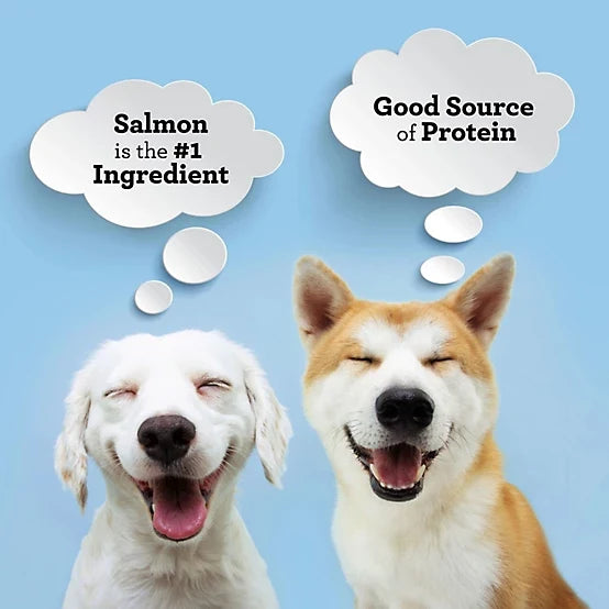 SmartBones Protein Rings Salmon and Chickpea, 10.5 oz.