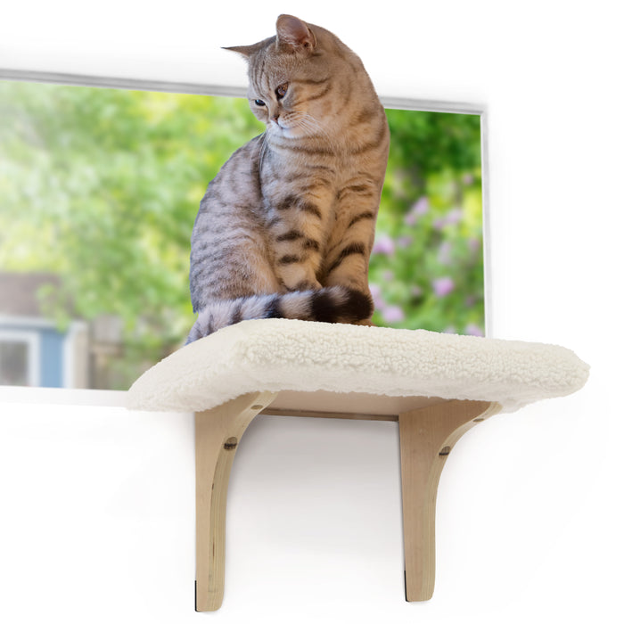 SmartyKat Paw Perch