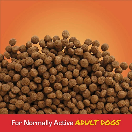 Sportmix 21/8 Performance Bite Size Adult Meat Meal Recipe Dry Dog Food, 40 lb. Bag
