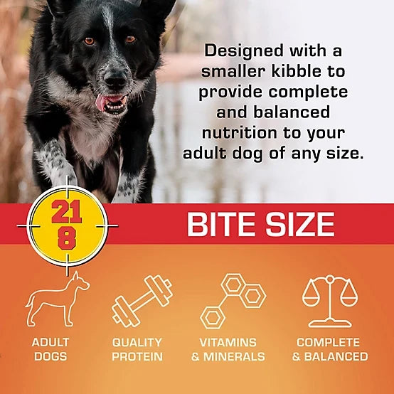 Sportmix 21/8 Performance Bite Size Adult Meat Meal Recipe Dry Dog Food, 40 lb. Bag