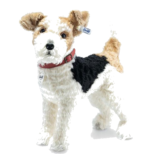 This is Foxy the Fox Terrier with all of his Stieff buddies.