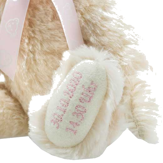 You can have your child's date of birth stitched into the feet of the Steiff Birth bear.