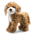 This is Ricky the Cockapoo designed by Steiff.