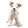 Steiff's Soft Cuddly Friends Foxy Fox Terrier 32 cm is made of soft plush with a white and brown coat.
