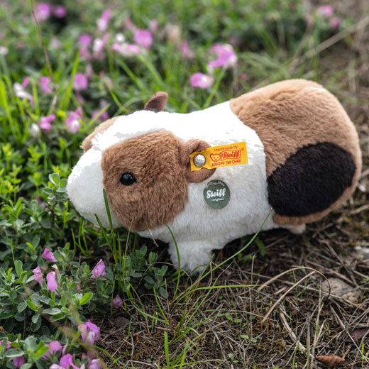 Steiff's Teddies for Tomorrow Dalle the Guinea Pig is crafted out of soft plush material.