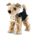 This is Terri the Welsh Terrier designed by Steiff.