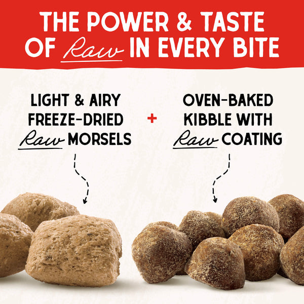 Stella & Chewy's Baked Kibble for Dogs - Raw Blend Wholesome Grains Cage-Free Recipe - 22 lb.