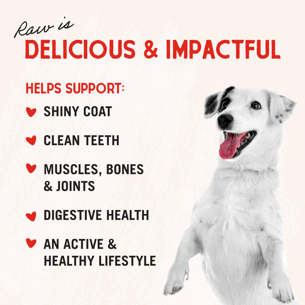 Stella & Chewy's Baked Kibble for Dogs - Raw Blend Wholesome Grains Cage-Free Recipe - 22 lb.