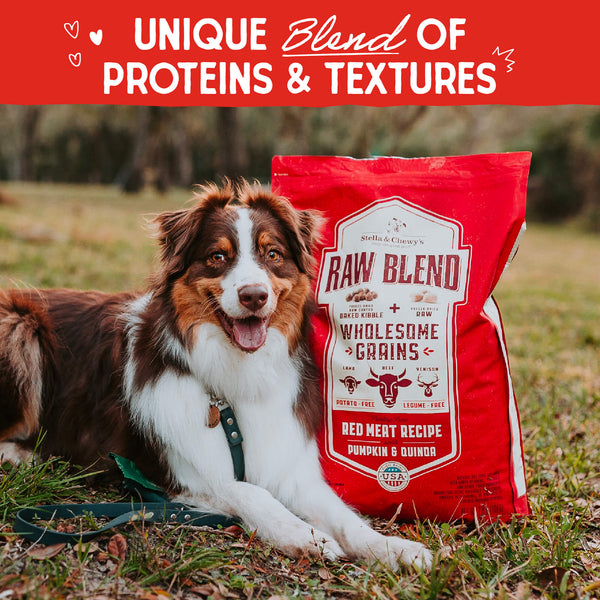 Stella & Chewy's Baked Kibble for Dogs - Raw Blend Wholesome Grains Red Meat Recipe - 22 lb.