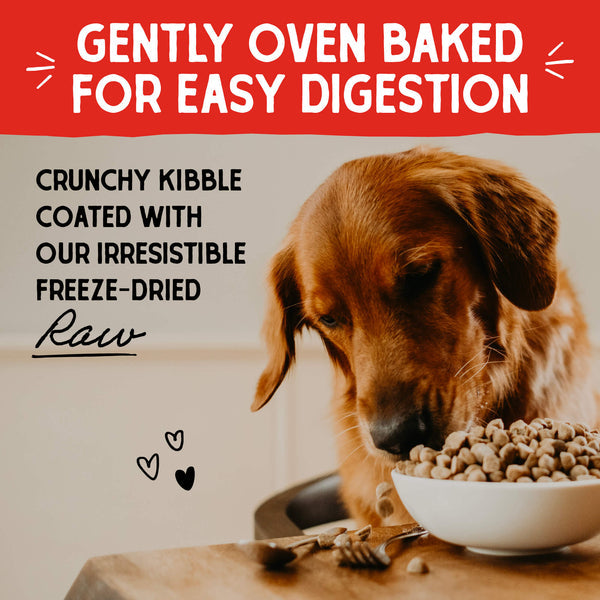 Stella & Chewy's Baked Kibble for Dogs - Raw Blend Wholesome Grains Red Meat Recipe - 3.5 lb.