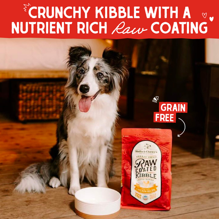 Stella & Chewy's Baked Kibble for Dogs - Raw Coated Cage-Free Chicken Recipe - 3.5 lb. Bag