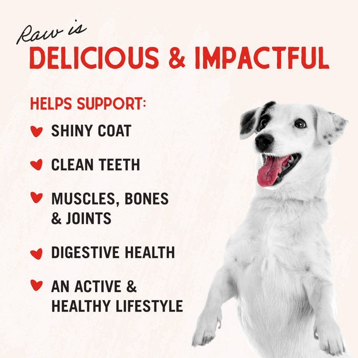 Stella & Chewy's Baked Kibble for Dogs - Raw Coated Cage-Free Chicken Recipe - 3.5 lb. Bag