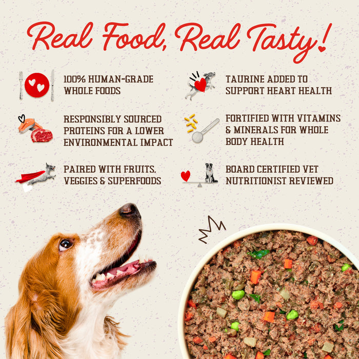 Stella & Chewy's Fresh Made Gently Cooked Dog Food Beefy-Licious - 16 oz.
