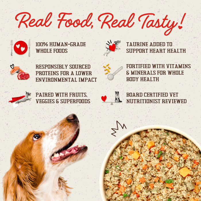 Stella & Chewy's Fresh Made Gently Cooked Dog Food Chick-a-Lick'n - 16 oz.