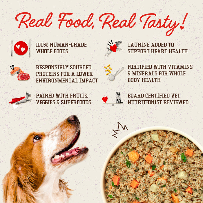 Stella & Chewy's Fresh Made Gently Cooked Dog Food Gobblin' Good - 16 oz.