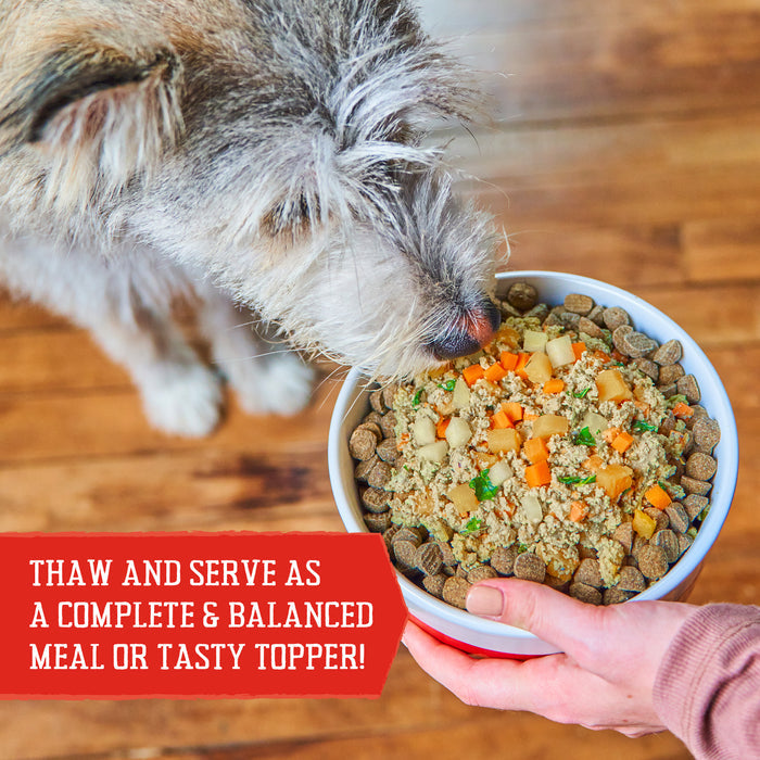Stella & Chewy's Fresh Made Gently Cooked Dog Food Gobblin' Good - 16 oz.