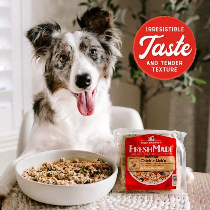 Stella & Chewy's Fresh Made Gently Cooked Dog Food Gobblin' Good - 16 oz.