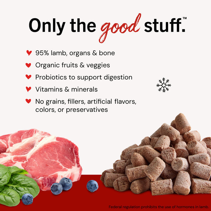 Stella & Chewy's Frozen Raw Dinner Patties for Dogs - Dandy Lamb - 4 lb.