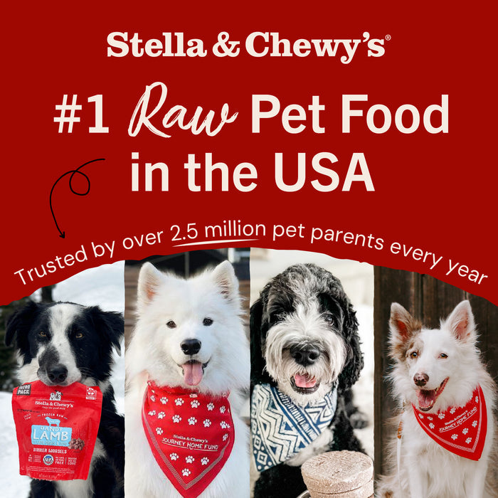 Stella & Chewy's Frozen Raw Dinner Patties for Dogs - Surf 'n Turf Recipe - 6 lb.