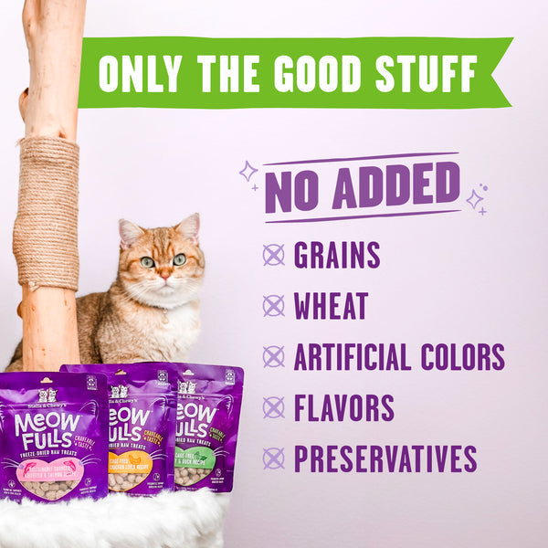 Stella & Chewy's Meowfulls Freeze Dried Cat Treats Turkey & Duck Recipe - 1.5oz