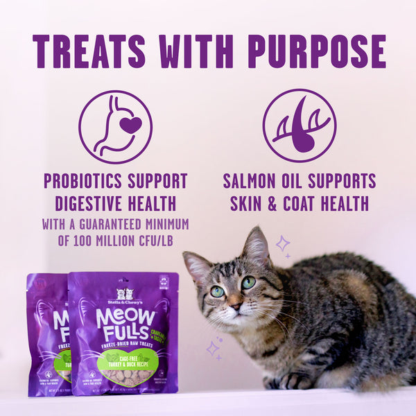 Stella & Chewy's Meowfulls Freeze Dried Cat Treats Turkey & Duck Recipe - 1.5oz