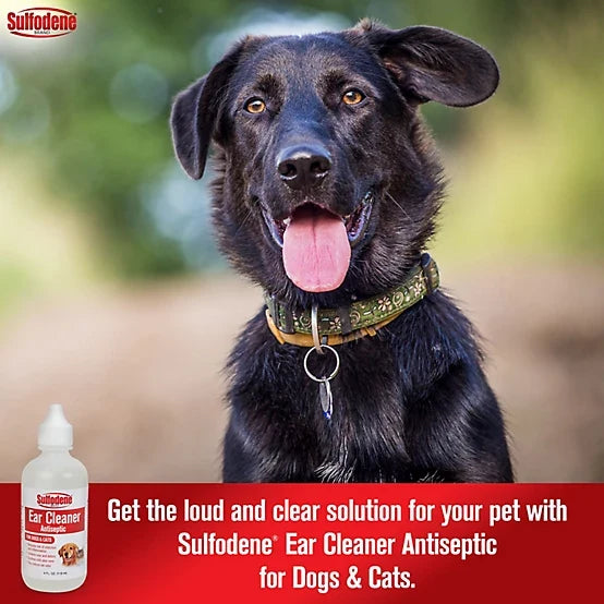 Sulfodene Ear Cleaner Antiseptic for Dogs and Cats, 4 oz.