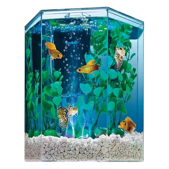 Tetra Colorfusion Kit, 1 gal.