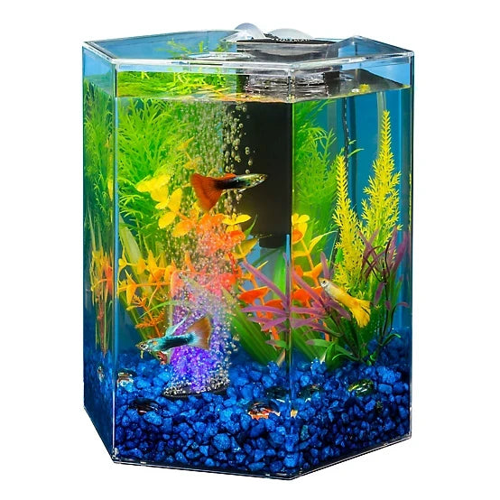 Tetra Colorfusion Kit, 1 gal.