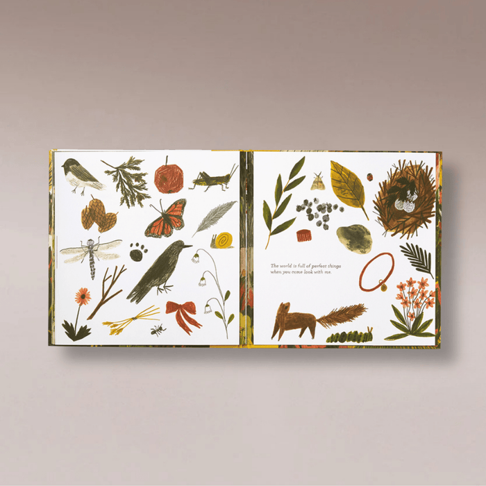Tiny Perfect Things - Few and Far - Books