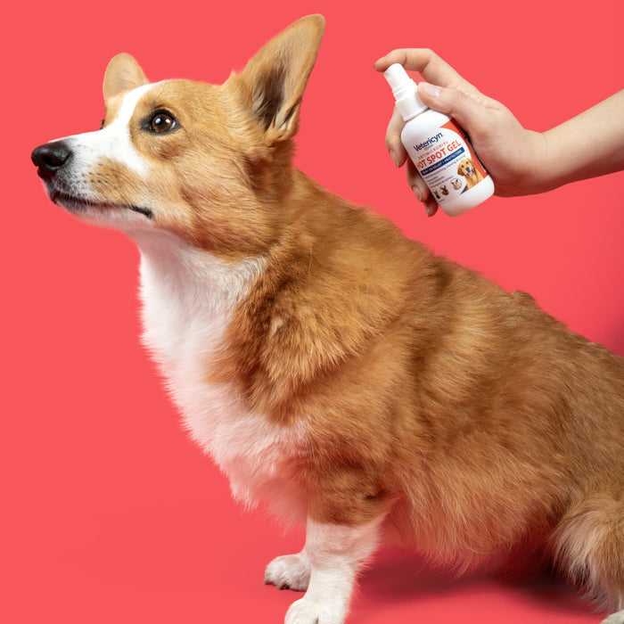 Vetericyn Plus Hot Spot Gel for Dogs