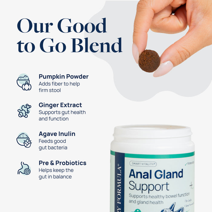 Veterinary Formula Anal Gland Support Chews for Dogs, 60 Count