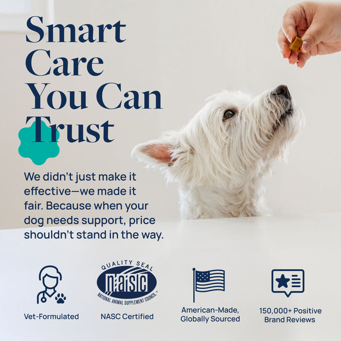 Veterinary Formula Anal Gland Support Chews for Dogs, 60 Count