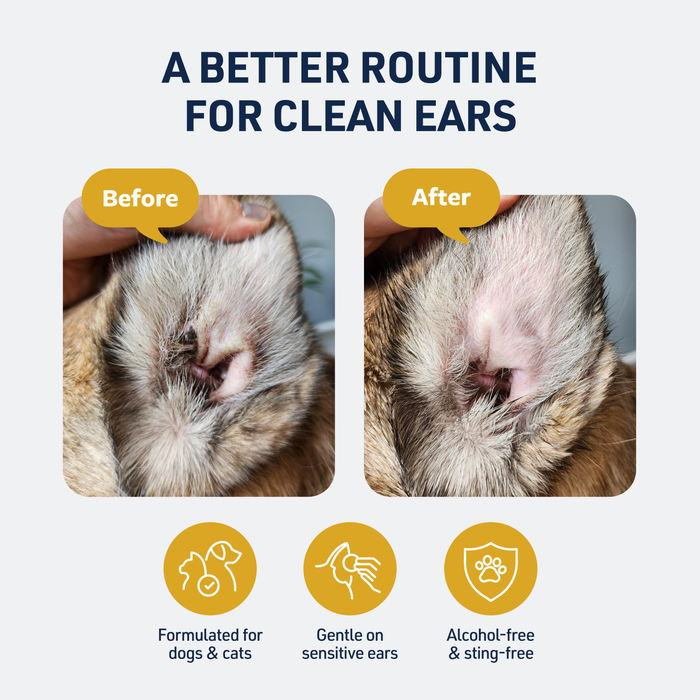 Veterinary Formula Clinical Care Ear Therapy Wipes for Dogs & Cats, 100 Count