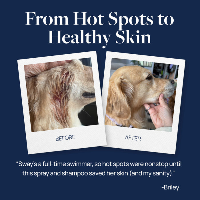 Veterinary Formula Clinical Care Hot Spot & Itch Relief Spray for Dogs & Cats, 8 oz