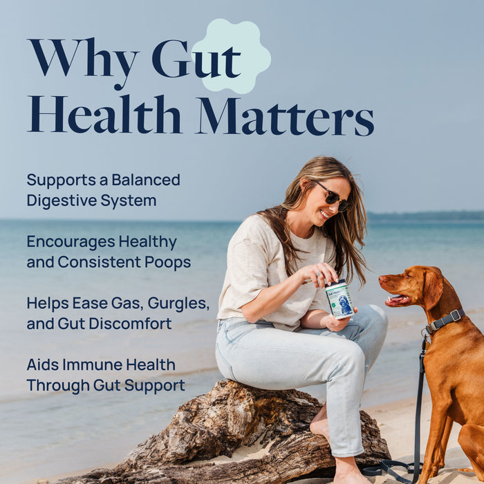 Veterinary Formula Gut Health Chews for Dogs, 60 Count