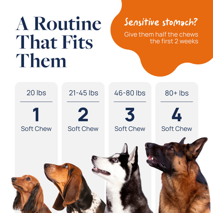 Veterinary Formula Senior Support Supplement Chews for Dogs, 60 Count