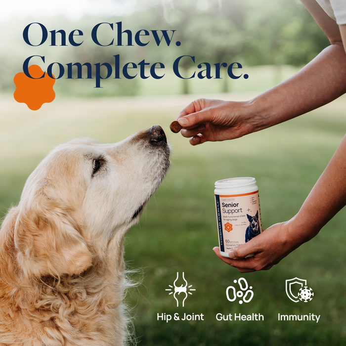 Veterinary Formula Senior Support Supplement Chews for Dogs, 60 Count