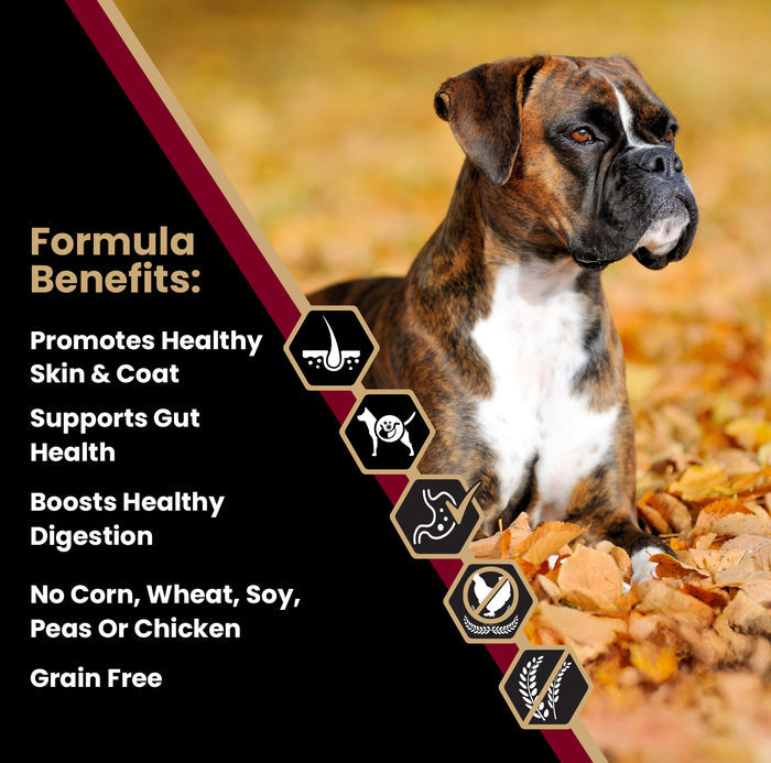 VICTOR Sensitive Skin and Stomach ‰ÛÒ Grain Free Lamb Meal and Sweet Potato Recipe 5lb