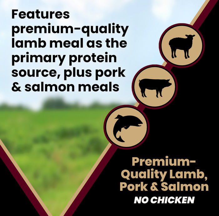 VICTOR Sensitive Skin and Stomach ‰ÛÒ Grain Free Lamb Meal and Sweet Potato Recipe 5lb