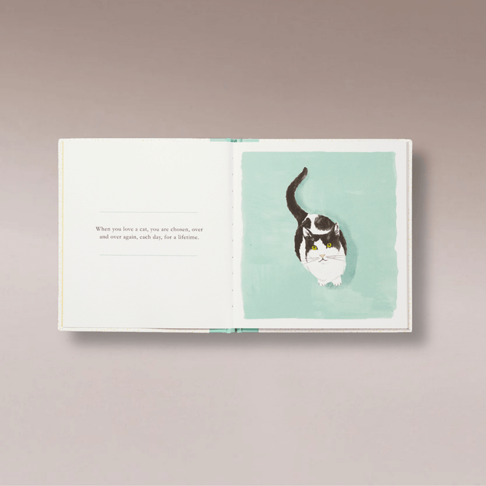 When You Love A Cat - Few and Far - Books