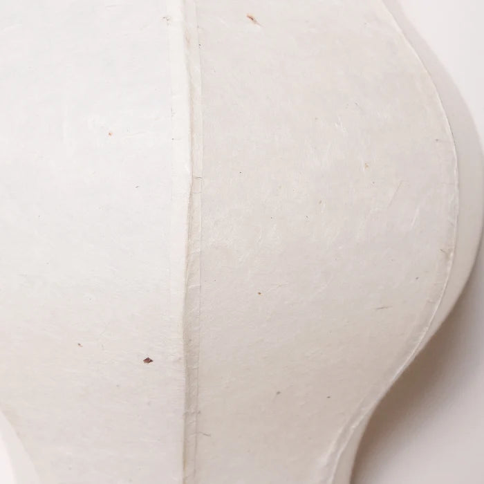 Whisper Wall Lamp