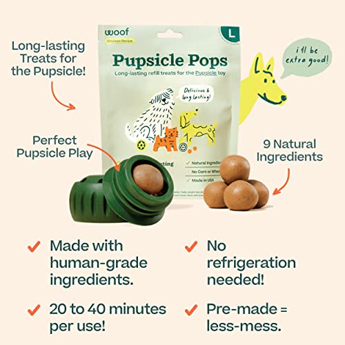 WOOF Chicken Refill Pops Large