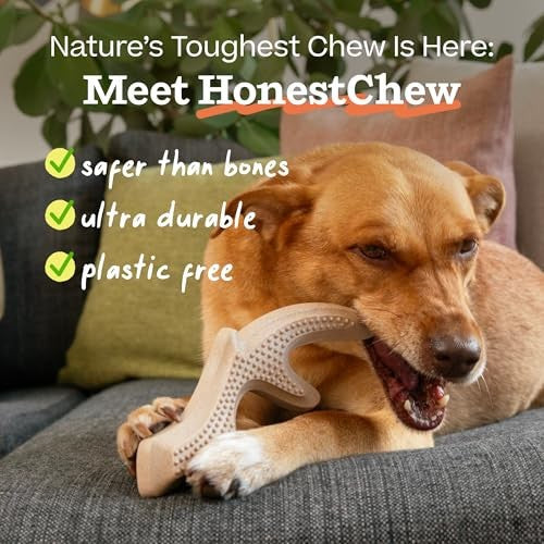 WOOF HonestChew Antler Dog Toy