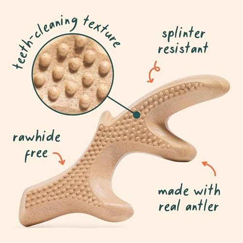WOOF HonestChew Antler Dog Toy