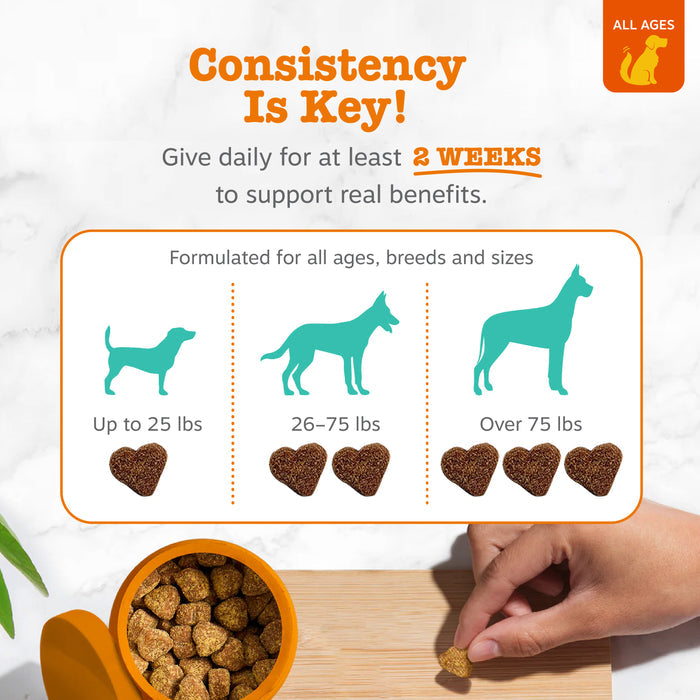 Zesty Paws Advanced Calming Bites w/ Melatonin, Turkey Flavor, 90ct for Dogs