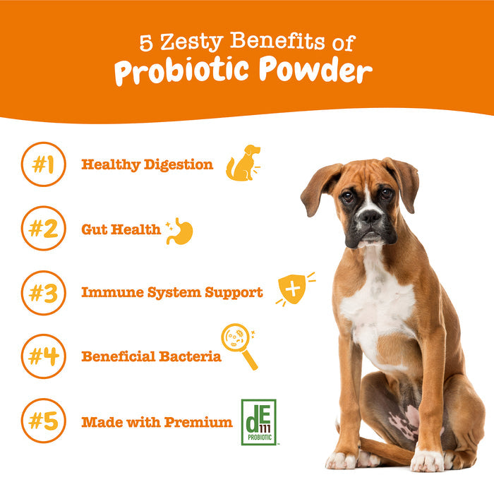 Zesty Paws Probiotic Powder, Pumpkin Flavor, 150g Jar for Dogs